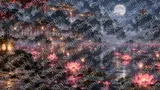 発光する蓮の花が浮かぶ秘境の霊池