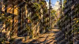 下町の入り組んだ路地と電柱の影（夏の西日）