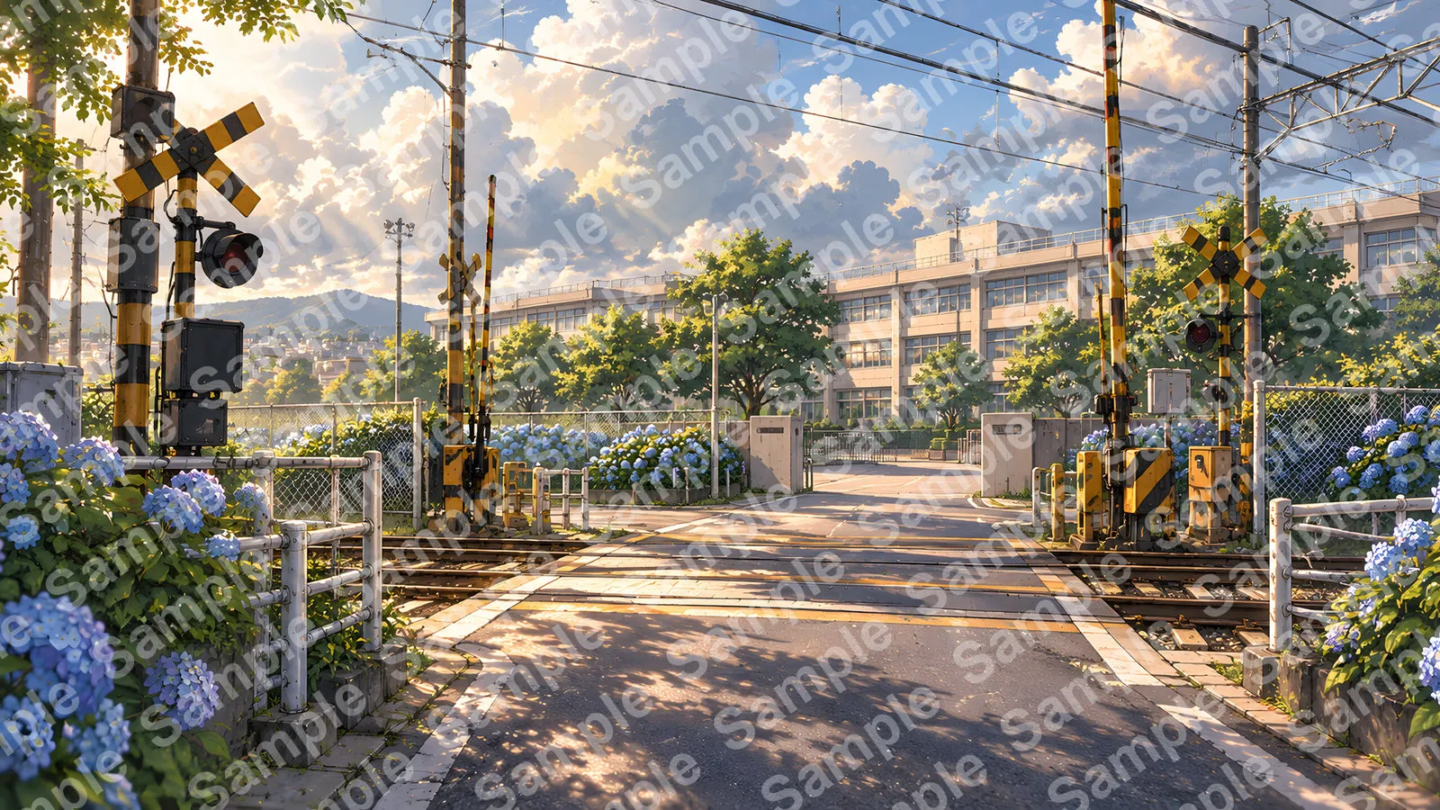 アジサイ咲く通学路の踏切と校舎遠景