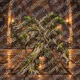 樹人 (Treant)